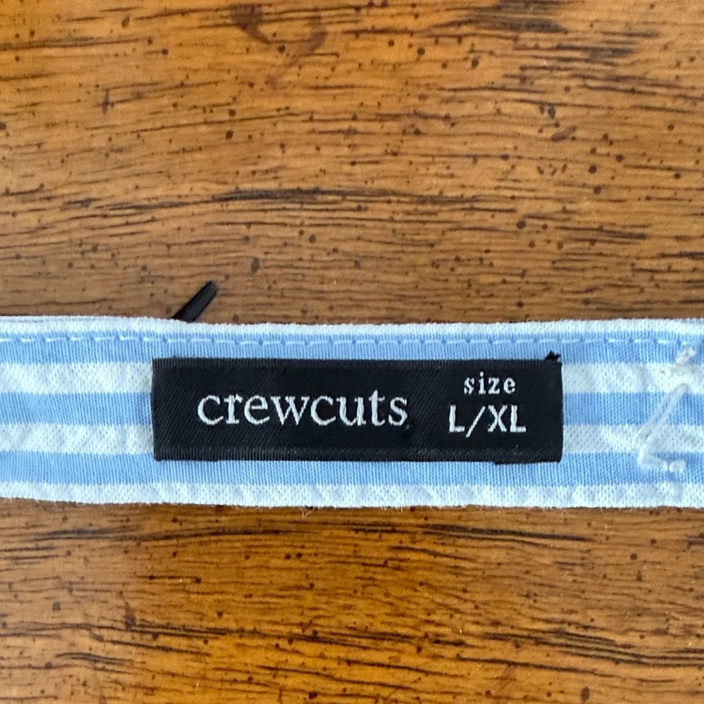 Crewcuts Light Blue Striped Kids Tie